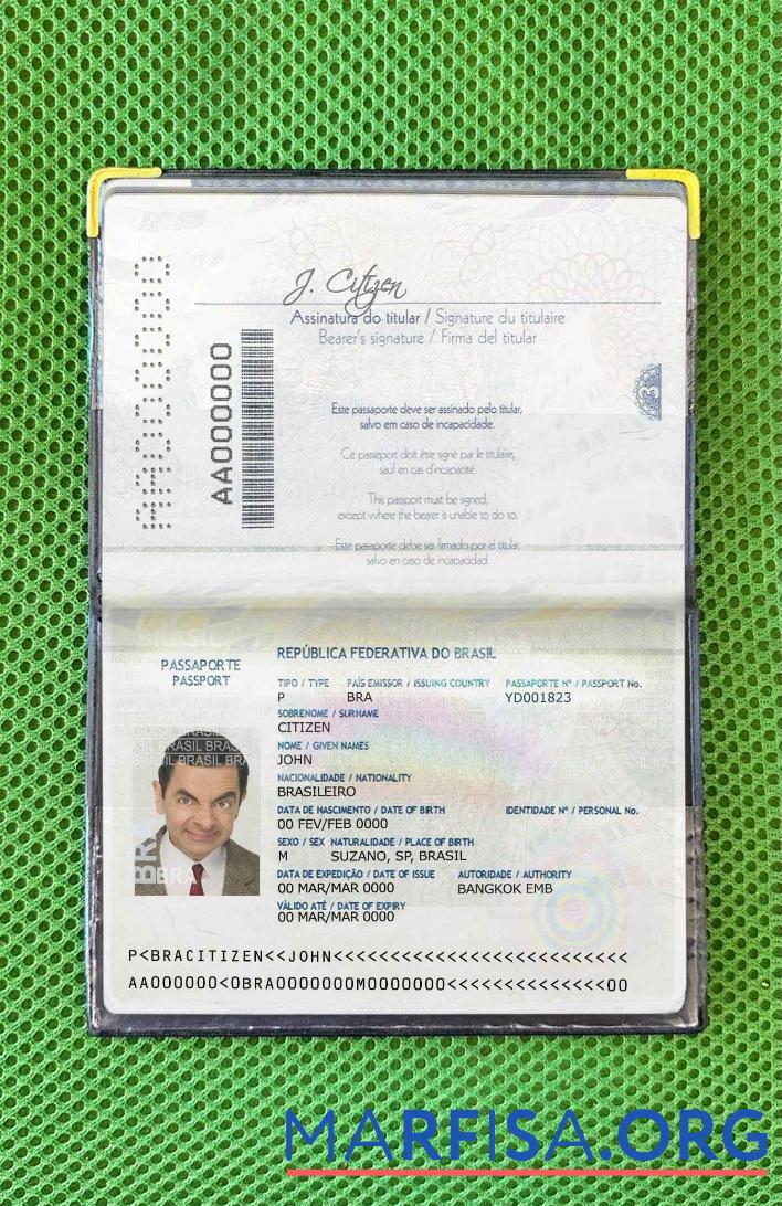 Downloadable Brazil passport (2016 2019) photo look example